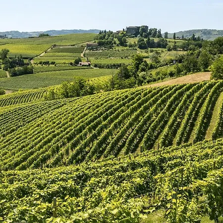 Awesome In Montegrosso Cinaglio With Wifi * Monale